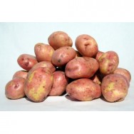 Картофель из Белоруси Санкт-Петербург цена, продать, купить